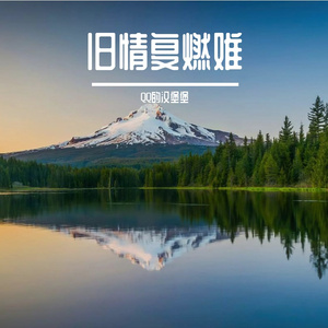 篱星伴年少