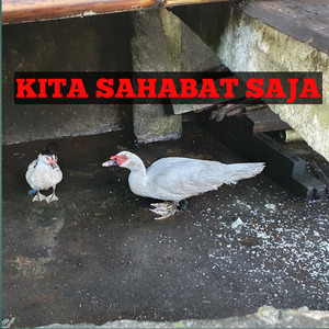Kita Sahabat Saja