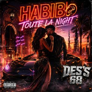 Habibi Toute la Night