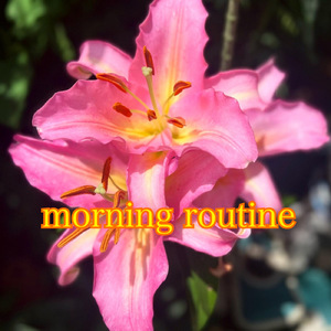 morning routine