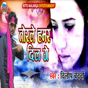 Torale Hamar Dil Ge