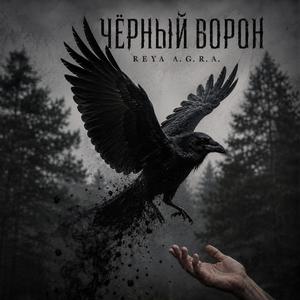 Чёрный ворон