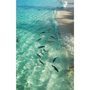 你在我喜欢的世界里（全网热播版）