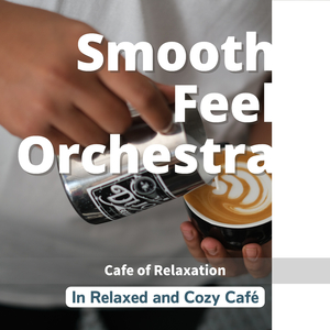 A Little Bit Of Light