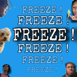 FREEZE !