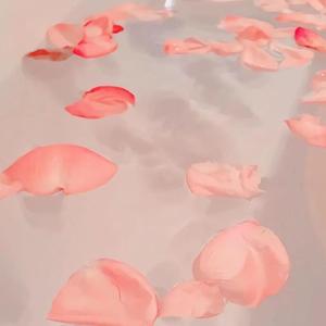 桃花扇