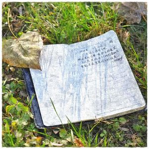 Diary