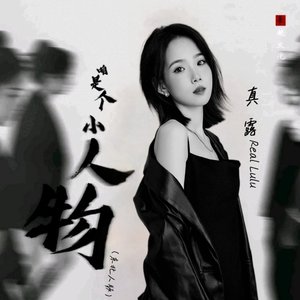 咱是个小人物（东北人）（DJ鬼鬼于航版）