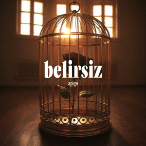 belirsiz