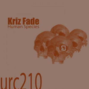 Roofer (Original Mix)