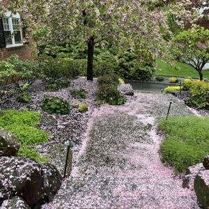 Beethoven (Club Remix)