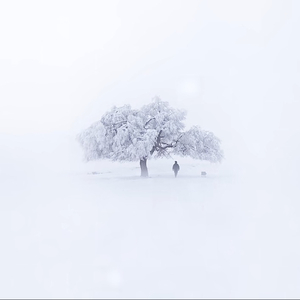 晚安过后 你在睡觉 我在想你
