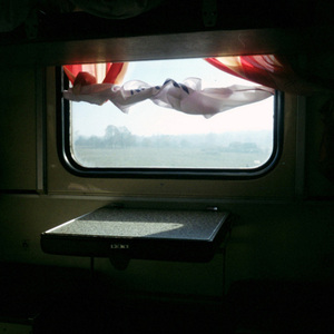 Social Dynamics (Утворюючи величезний океан кохання)