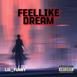 Feel Like A Dream(prod.by:willme)