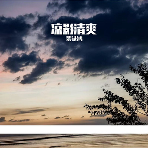 凉影清爽