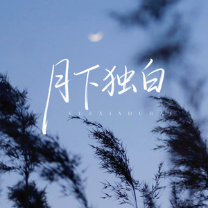 体验