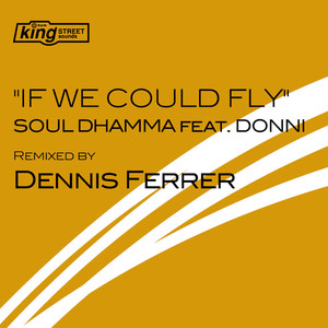 If We Could Fly (Fly Instrumental Dub)