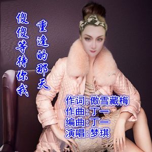 傻傻等待你我重逢的那天