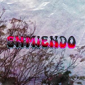Enmiendo