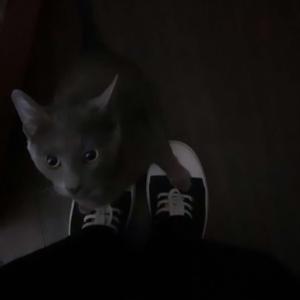 pure codeine (feat. ayerp)