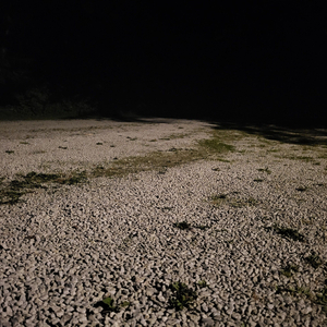 Writhing
