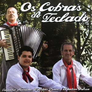 Noites de Pirilampos (Instrumental)