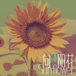 向阳花-demo