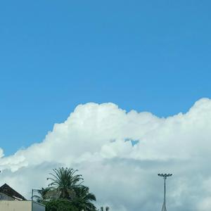 初恋（Cover：回春丹）