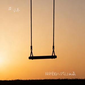 拼命爱的人没有让我赢 (Cover 李发发)