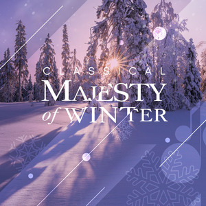 Symphony No. 9 in D Minor, Op. 125: I. Allegro ma non troppo, un poco maestoso