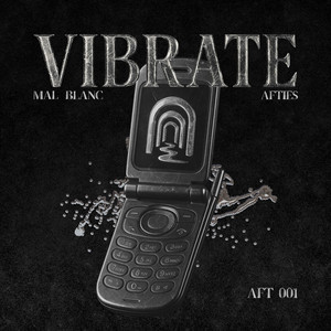 Vibrate (Extended Mix)