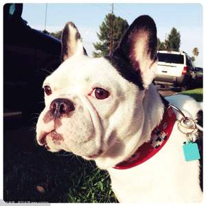 008_一剪梅_20191228