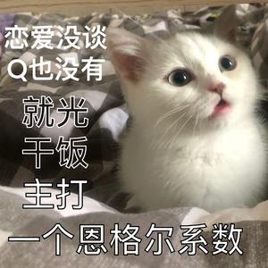QQ爱（爷青回）