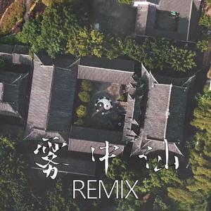 Wya乌鸦-雾中仙（Mercuryrail remix）