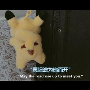 夏如蝉，夏如狮