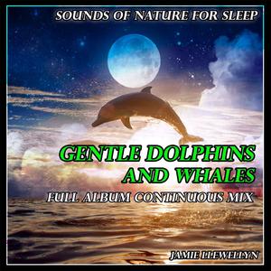 Sounds of Nature for Sleep: Gentle Dolphins and Whales