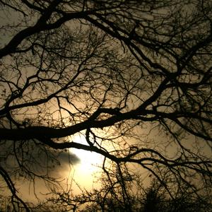 La Ciudad de Los Vientos