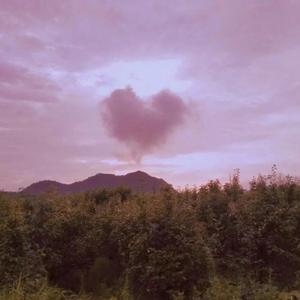 刚刚好爱上你了呀