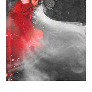 《若你是飞鸟》