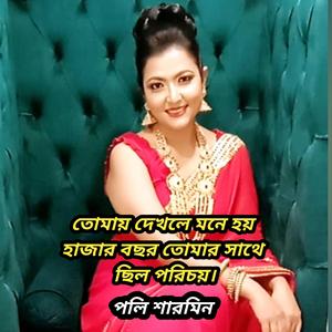 তোমায় দেখলে মনে হয়