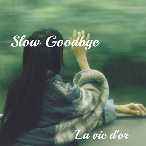 Slow Goodbye