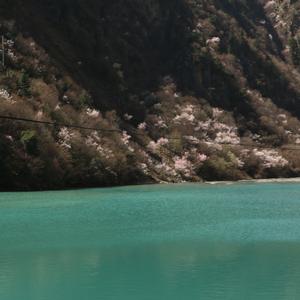 记忆里有小雨的夏天傍晚