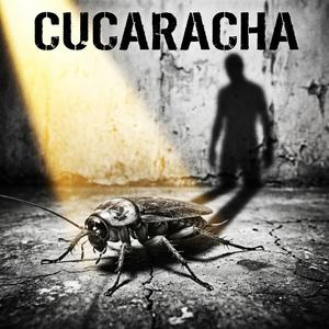 Cucaracha