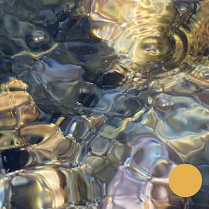 Hotel de Tulum (Agua y Camarero)