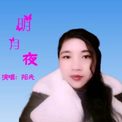 相思泪流进忘川河(DJ默涵版)