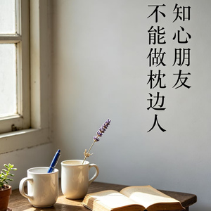 知心朋友不能做枕边人(DJ版)