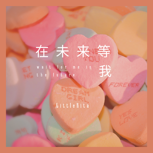 在未来等我