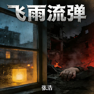 飞雨流弹