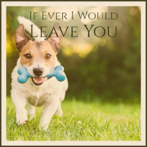 Send Me the Pillow You Dream On