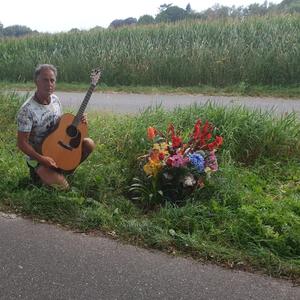 Flowers near the road